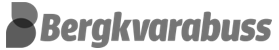 Bergkvarabuss